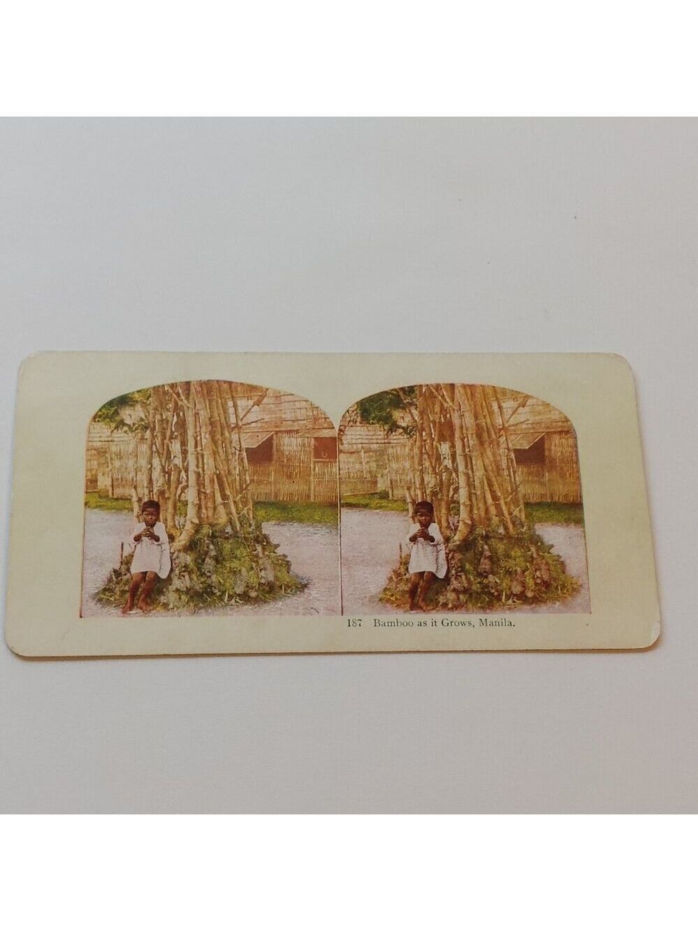 ANTIQUE STEREOGRAPH Card DOUBLE SIDED Bamboo as it Grows, Manilla/Peeheai COLOUR